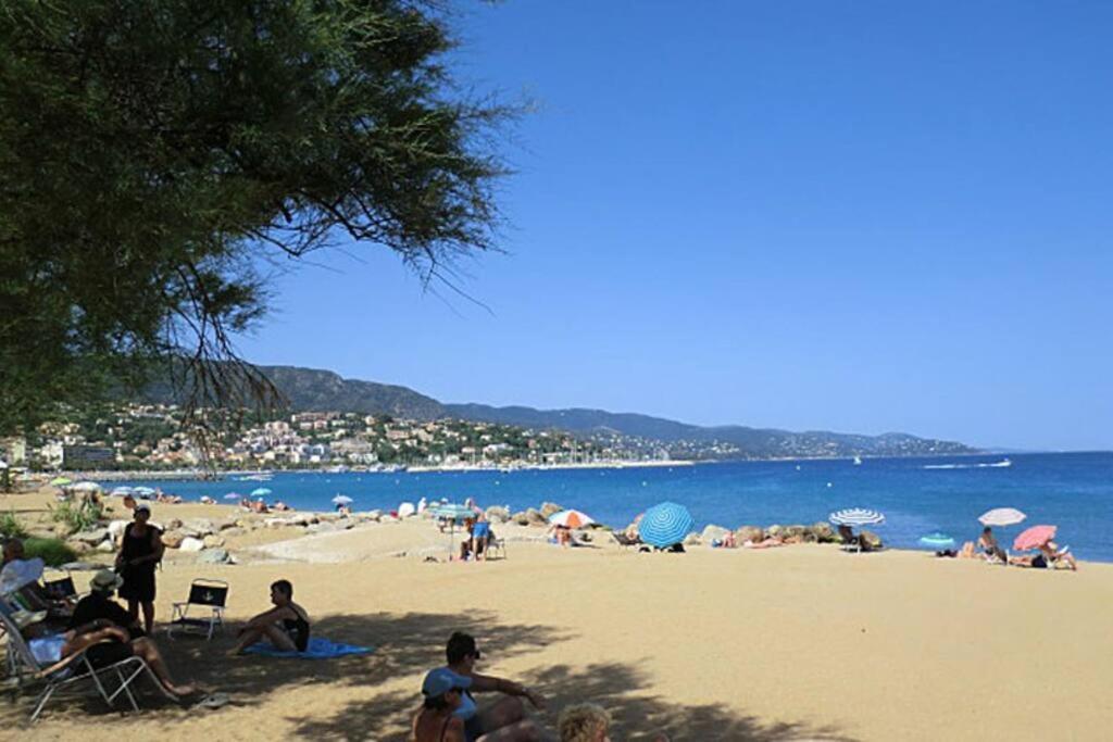 Cosy A 100m De La Plage, Clim, Wifi, Piscine